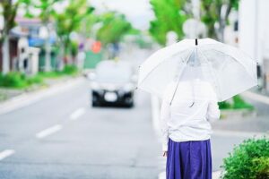 国交省、日本版ライドシェア12地域で制度改善　雨天時タクシー不足解消へ